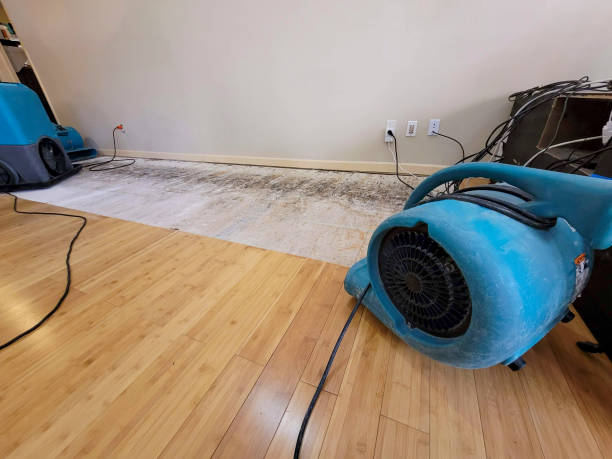 Professional Sewage Cleanup technician working in Vanlue, OH